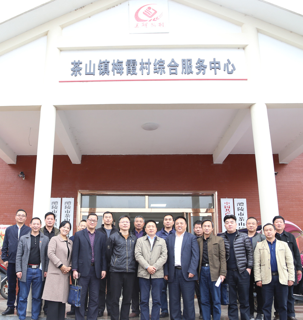 欧冠正规买球（中国）官方网站党委书记张格林深入茶山镇梅霞村指导脱贫攻坚工作